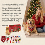 Advent calendar for dogs