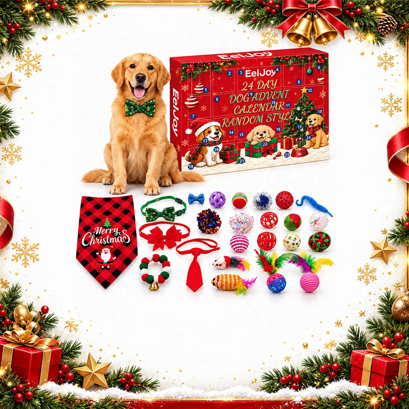 Advent calendar for dogs