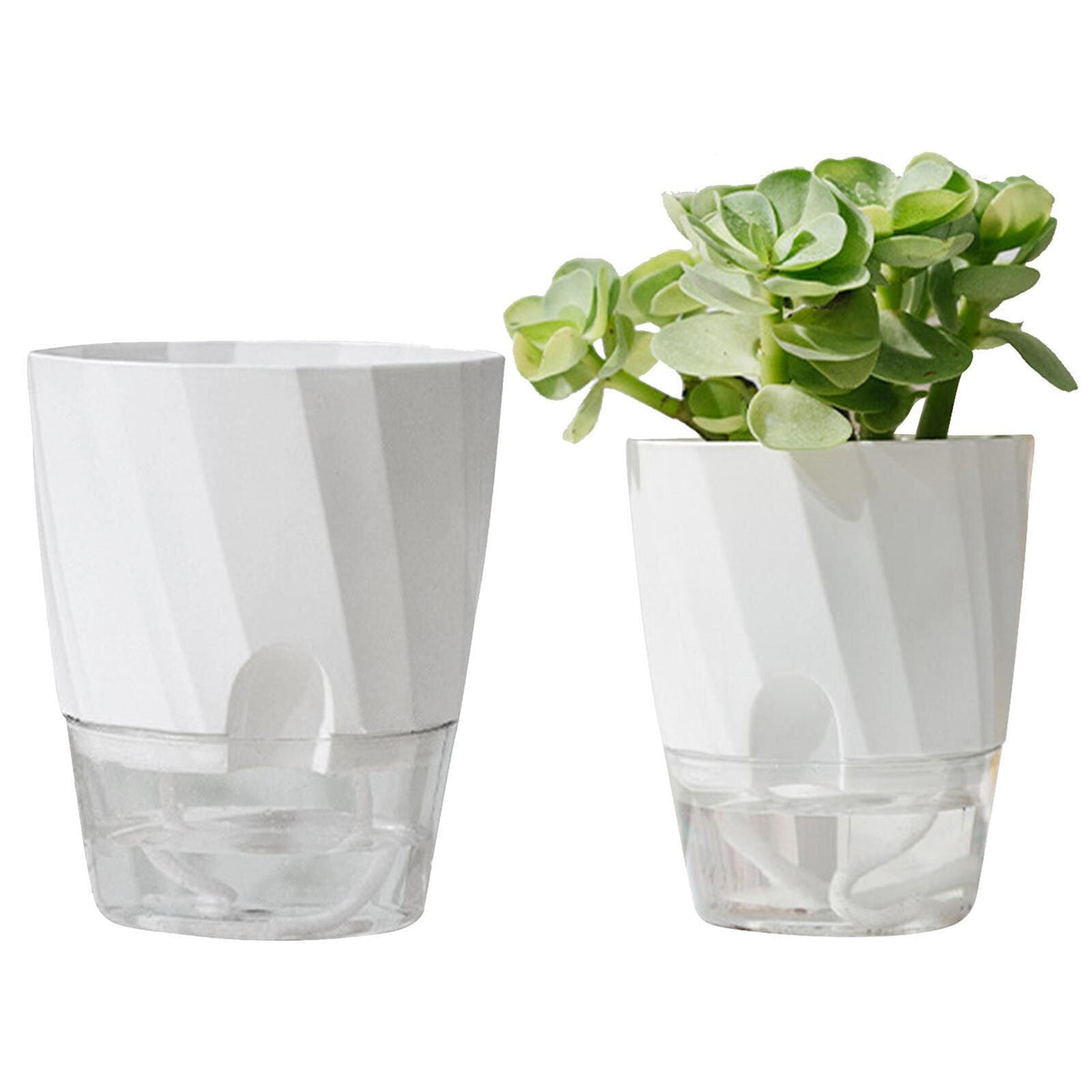 Self Watering Planter for Easy Plant Care