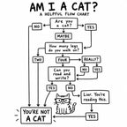 How to Know You’re a Cat T-Shirt