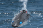 Waterproof High Speed RC Boat - Remote Control Racing Speedboat with Rechargeable Battery, Outdoor Water Toy for Kids