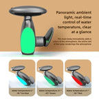 Sirena LED Whale Pull-Out Bathroom Sink Faucet