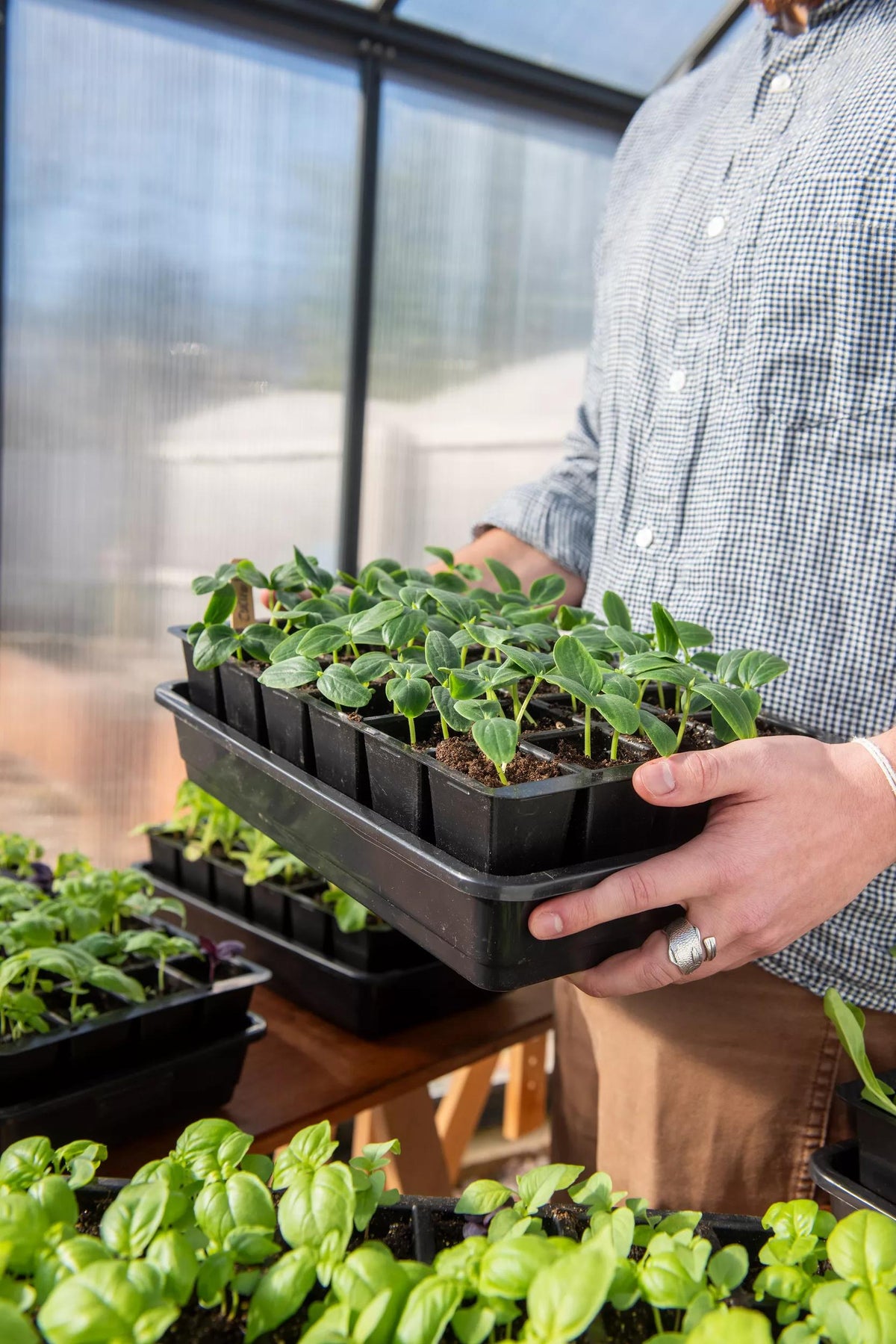 Seed Starter Kit