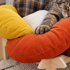 Flower Throne Rainbow Cat Bed