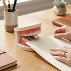 Bite Back Teeth-Shaped Stapler