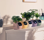Smart AI Planter Pot- Intelligent App-Connected Gardening System for Plant Enthusiasts, Ideal Tech Gift for Christmas or Holidays