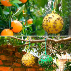 Hanging Fly Trap with Adhesive Layer (6 Pcs)