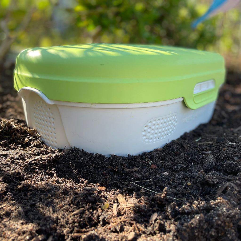 In-Ground Worm Composter Bin for Garden Beds