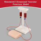 Ultrasound-Guided Vascular Puncture Training Model – Blood Circulation Simulation Injection Pad for Medical Ultrasound, Needle Placement and Clinical Practice