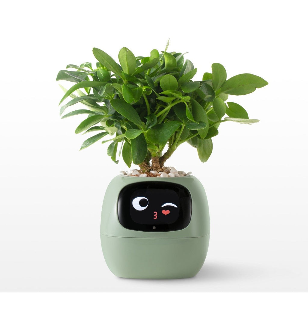 Smart AI Planter Pot- Intelligent App-Connected Gardening System for Plant Enthusiasts, Ideal Tech Gift for Christmas or Holidays