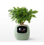 Smart AI Planter Pot- Intelligent App-Connected Gardening System for Plant Enthusiasts, Ideal Tech Gift for Christmas or Holidays