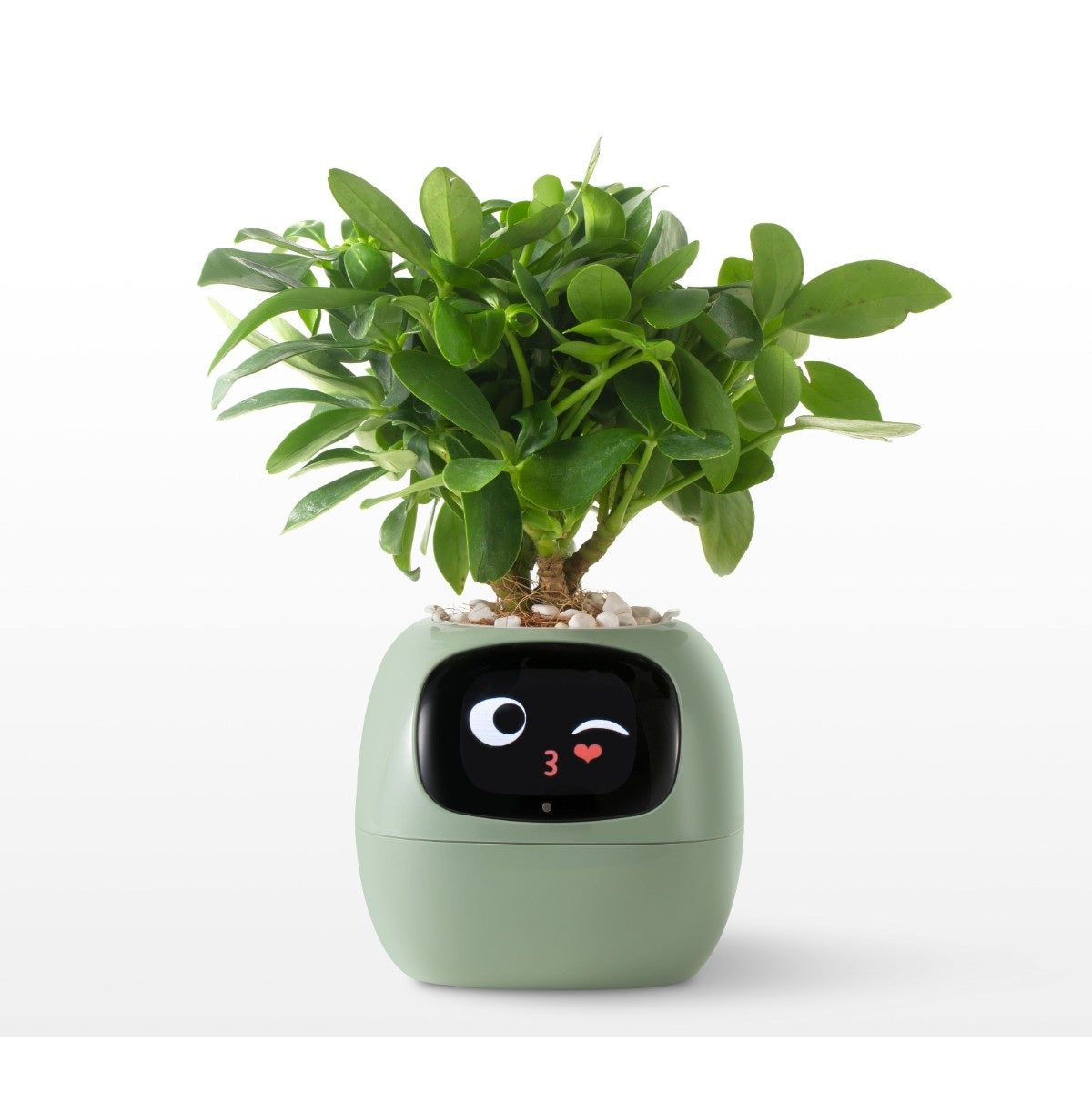 Smart AI Planter Pot- Intelligent App-Connected Gardening System for Plant Enthusiasts, Ideal Tech Gift for Christmas or Holidays