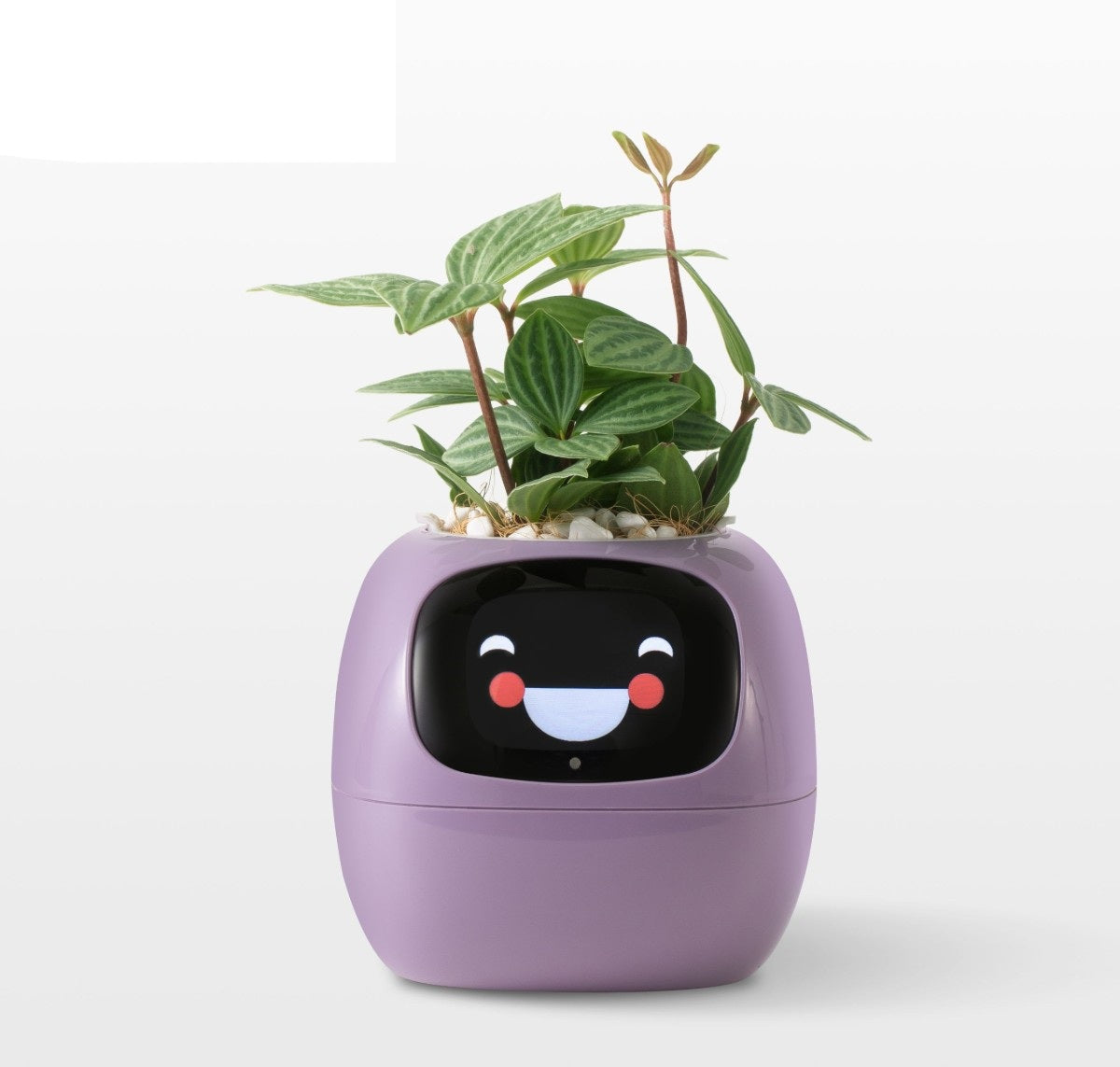 Smart AI Planter Pot- Intelligent App-Connected Gardening System for Plant Enthusiasts, Ideal Tech Gift for Christmas or Holidays