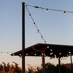 49 ft G40 Outdoor LED String Lights with 25 Bulbs
