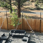 49 ft G40 Outdoor LED String Lights with 25 Bulbs