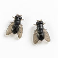Buzzkill Fly Stud Earrings