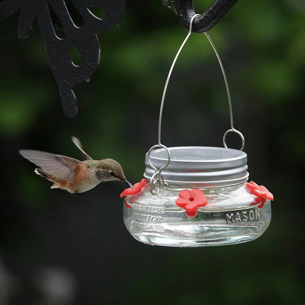 Mason Jar Hummingbird Dish Feeder Hanging Nectar Feeder 2 Pack