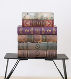 Anywhere Office Bed Desk Foldable Laptop Stand