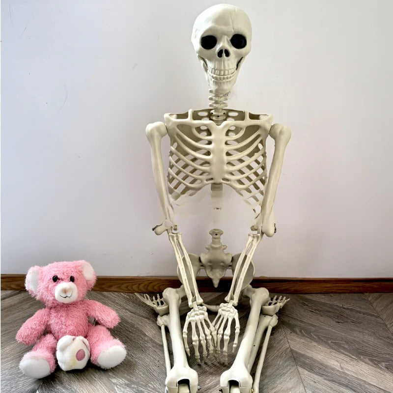Life-Size Skeleton Decoration