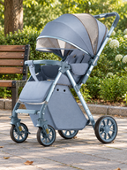 Meadow Ride Reversible Folding Baby Stroller