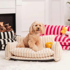 CozyCouch  • Calming Dog Sofa