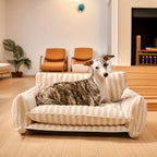 CozyCouch  • Calming Dog Sofa