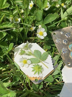 Ahahay | Mini Flower Press | Compact Botanical Keepsake Maker | Portable Craft Tool