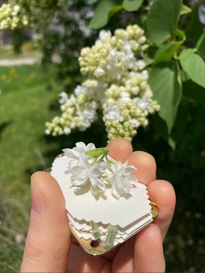 Miroken | Mini Flower Press | Compact Botanical Keepsake Maker | Portable Craft Tool