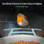 Smart Bird Feeder Camera, Bird Watching, Bird House Camera with Motion Detection & Auto Capture