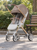 Turnabout Lightweight Reversible Baby Stroller